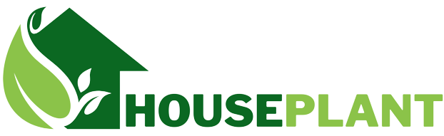 cropped-HousePLANT-removebg-preview.png